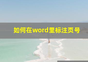 如何在word里标注页号