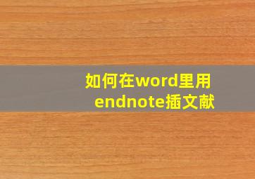 如何在word里用endnote插文献