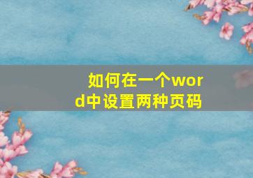 如何在一个word中设置两种页码