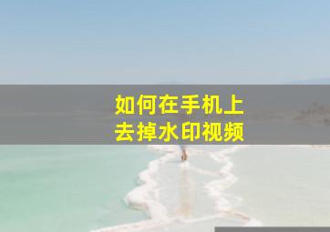 如何在手机上去掉水印视频