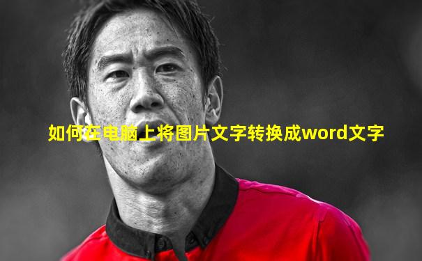 如何在电脑上将图片文字转换成word文字