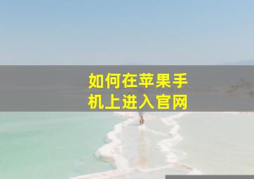 如何在苹果手机上进入官网