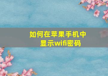 如何在苹果手机中显示wifi密码