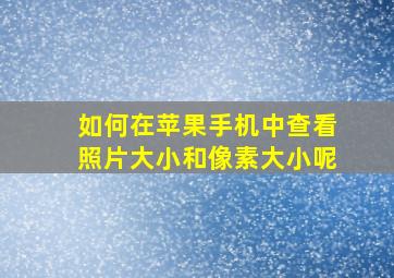 如何在苹果手机中查看照片大小和像素大小呢