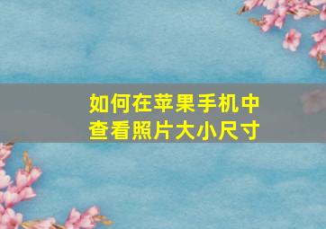 如何在苹果手机中查看照片大小尺寸