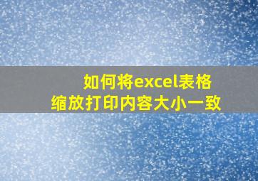 如何将excel表格缩放打印内容大小一致