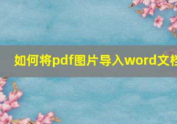 如何将pdf图片导入word文档