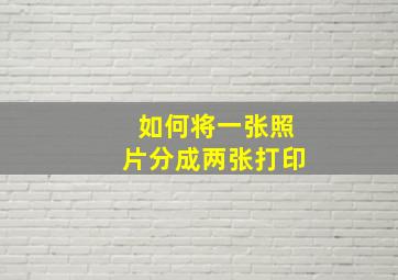 如何将一张照片分成两张打印