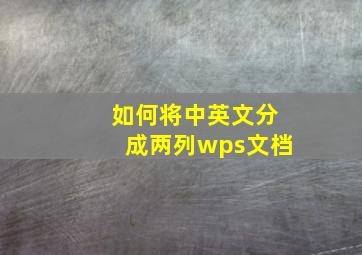 如何将中英文分成两列wps文档