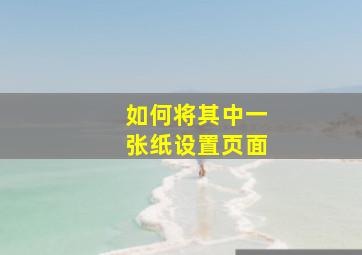 如何将其中一张纸设置页面