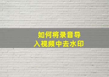 如何将录音导入视频中去水印