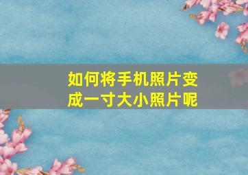 如何将手机照片变成一寸大小照片呢