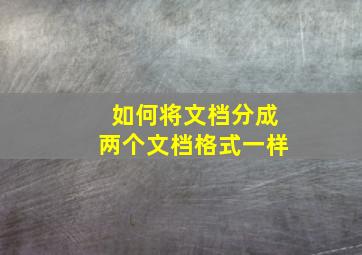 如何将文档分成两个文档格式一样