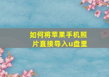 如何将苹果手机照片直接导入u盘里