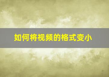 如何将视频的格式变小