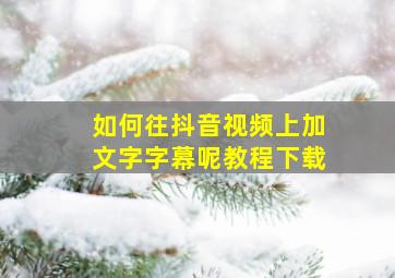 如何往抖音视频上加文字字幕呢教程下载