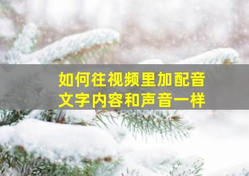 如何往视频里加配音文字内容和声音一样