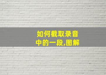 如何截取录音中的一段,图解