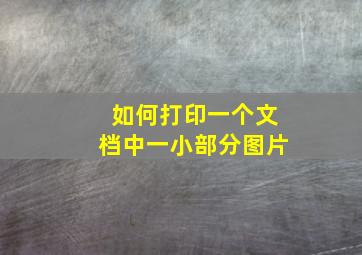 如何打印一个文档中一小部分图片