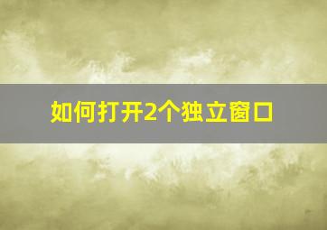 如何打开2个独立窗口