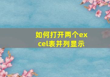 如何打开两个excel表并列显示