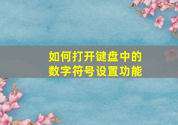 如何打开键盘中的数字符号设置功能