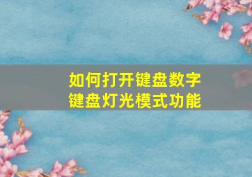 如何打开键盘数字键盘灯光模式功能