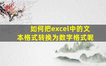 如何把excel中的文本格式转换为数字格式呢