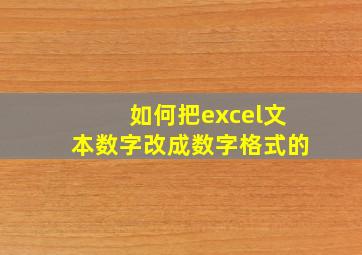 如何把excel文本数字改成数字格式的