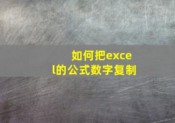 如何把excel的公式数字复制