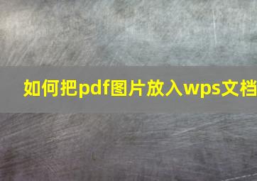 如何把pdf图片放入wps文档