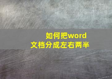 如何把word文档分成左右两半