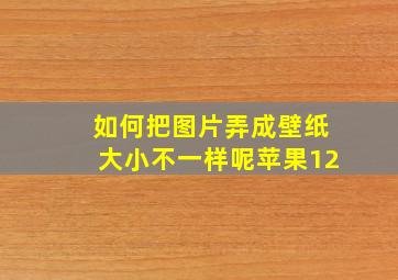 如何把图片弄成壁纸大小不一样呢苹果12