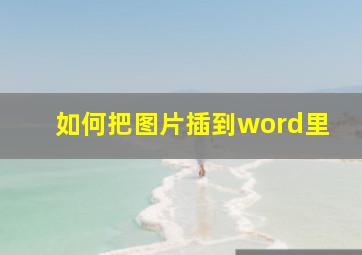 如何把图片插到word里