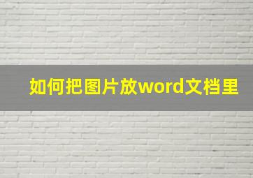 如何把图片放word文档里