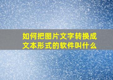 如何把图片文字转换成文本形式的软件叫什么