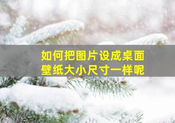 如何把图片设成桌面壁纸大小尺寸一样呢