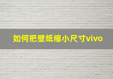 如何把壁纸缩小尺寸vivo