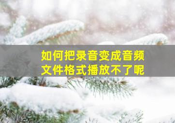 如何把录音变成音频文件格式播放不了呢