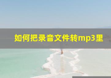 如何把录音文件转mp3里