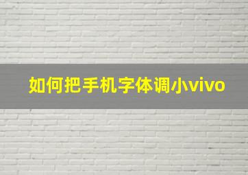 如何把手机字体调小vivo