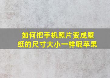 如何把手机照片变成壁纸的尺寸大小一样呢苹果