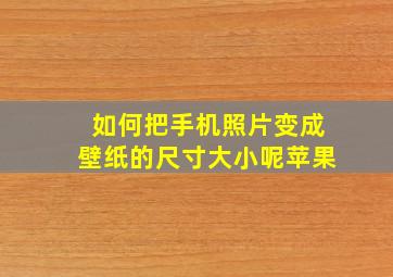 如何把手机照片变成壁纸的尺寸大小呢苹果