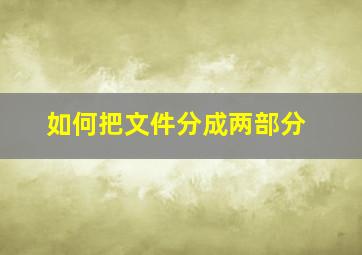 如何把文件分成两部分