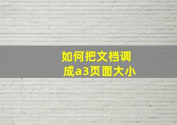 如何把文档调成a3页面大小