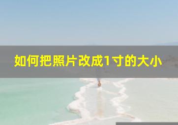 如何把照片改成1寸的大小