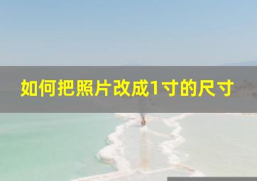 如何把照片改成1寸的尺寸