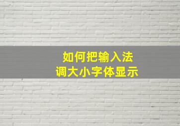 如何把输入法调大小字体显示