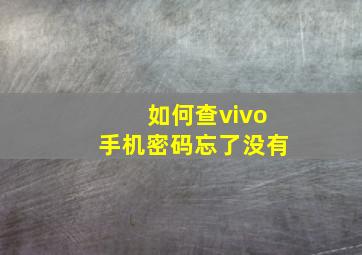 如何查vivo手机密码忘了没有