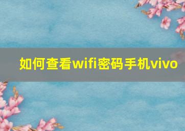 如何查看wifi密码手机vivo